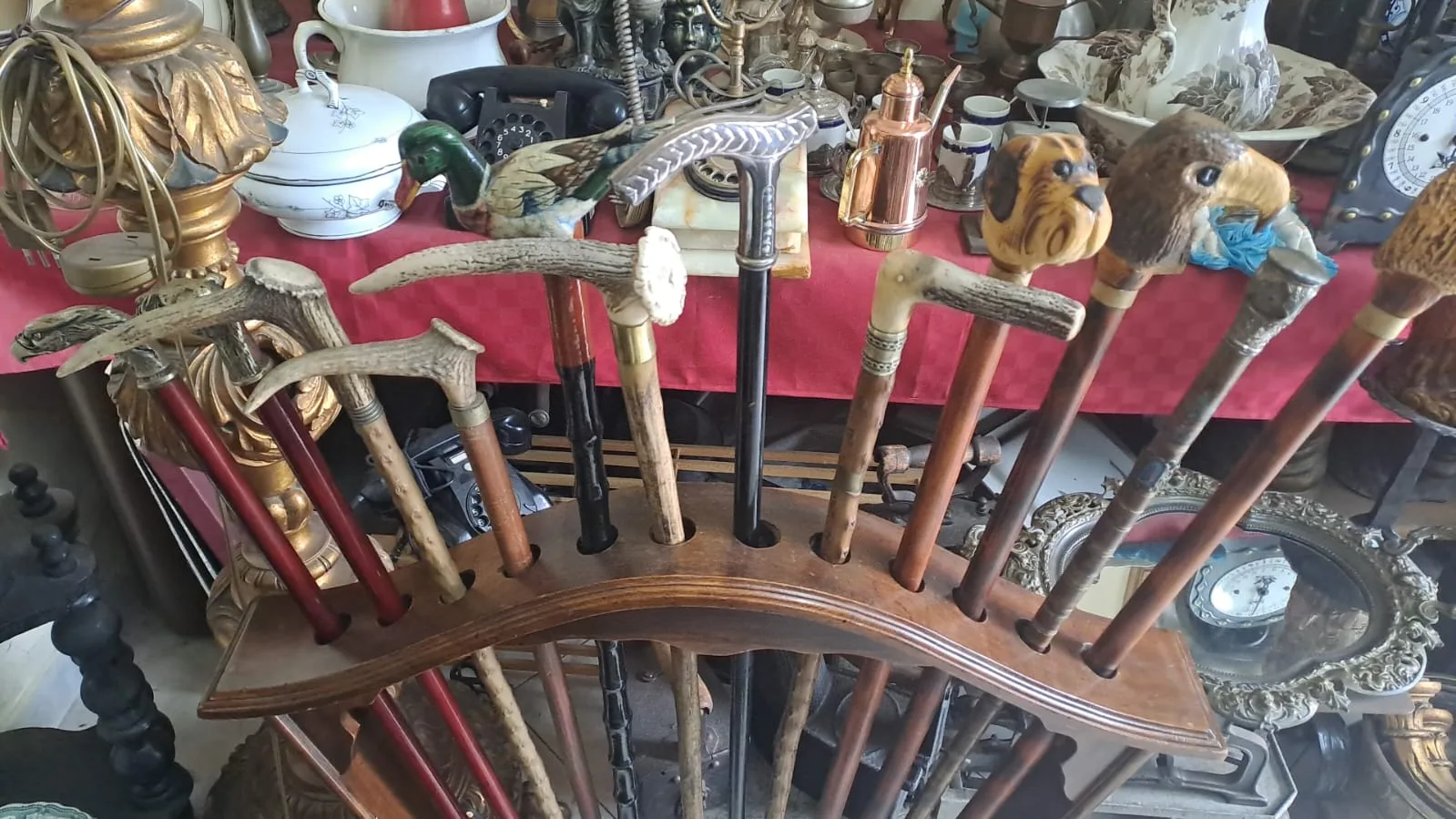 Rastrelliera in legno con bastoni da passeggio d'epoca, molti con manico in corno di cervo e alcuni con pomi a testa d'animale