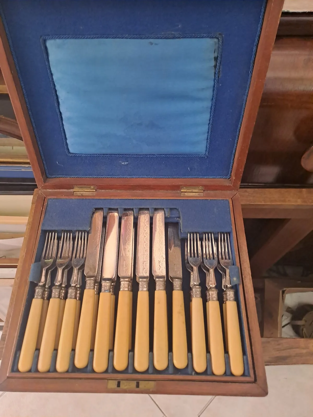 Servizio di posate con manici color avorio nella cassetta in legno foderata di velluto blu