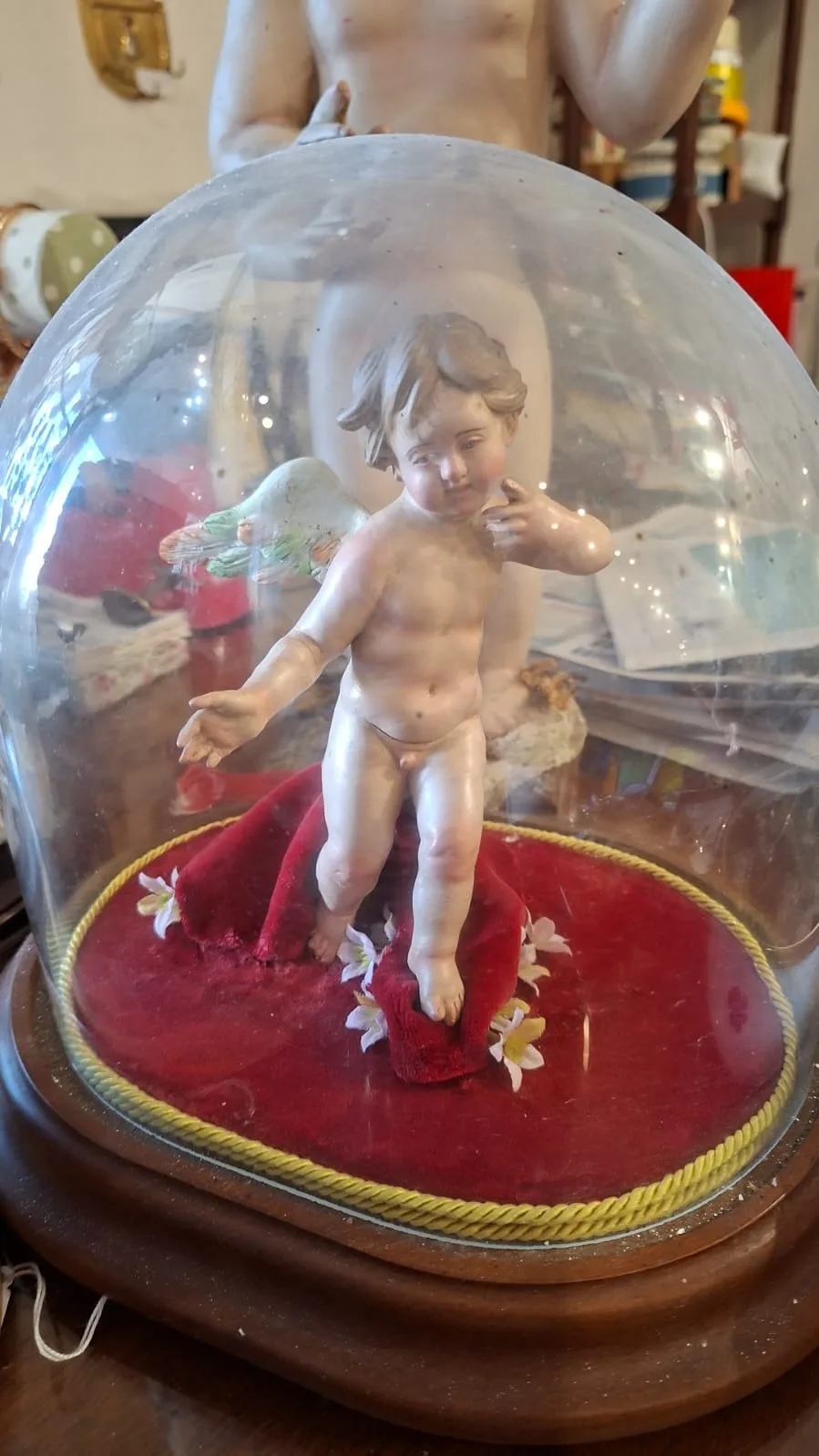 Putto alato in terracotta dipinta su velluto rosso con fiori, sotto campana ovale di vetro